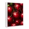 Stupell Industries Lush Juicy Cherries Harvest Framed Giclee, design by Christine Simpson Art